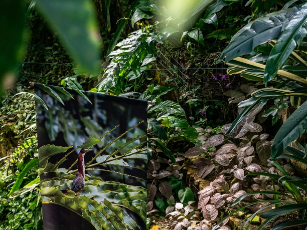 Regenwaldhaus im Botanischen Garten