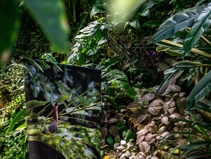 Regenwaldhaus im Botanischen Garten