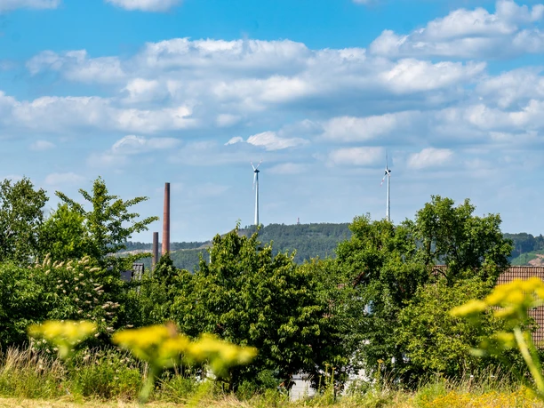 Blick auf Piesberg vom Botanischen Garten Blick auf Piesberg vom Botanischen Garten