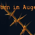 Dorn-im-Auge.jpg
