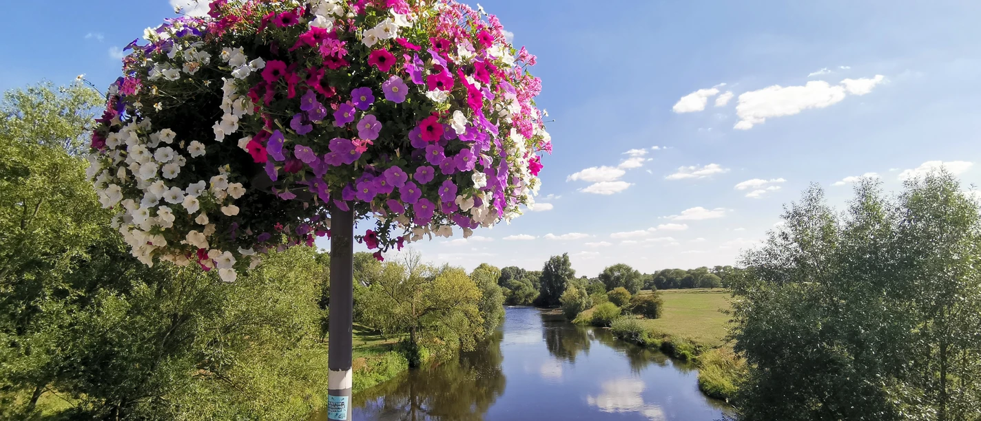 Löwenbrücke Neustadt a. Rbge. Blumenampel auf Brücke über ruhigen Fluss, umgeben von grünen Bäumen und blauem Himmel