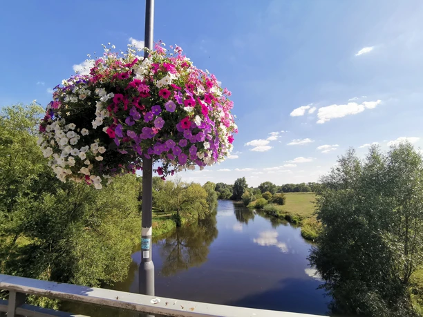 Löwenbrücke Neustadt a. Rbge. Blumenampel auf Brücke über ruhigen Fluss, umgeben von grünen Bäumen und blauem Himmel