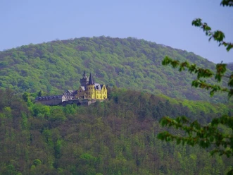 Schloss_Rohestein__c_Peter_Kerst.jpg