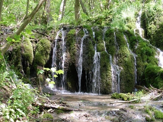 Elfengrund_App.jpg