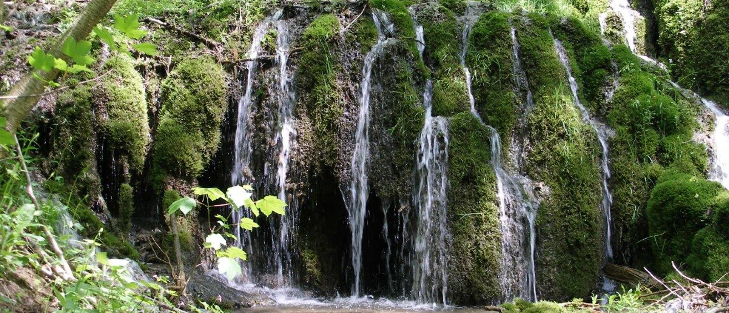 Elfengrund_App.jpg