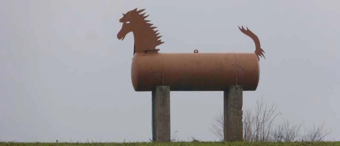 Pferd.jpg