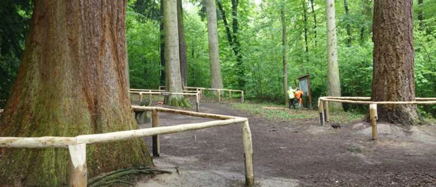 Niester_Riesen_2.JPG