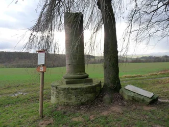 Affensaeule.JPG