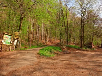 Wanderparkplatz_Leuchtbergsattel_P3__c_Peter_Kerst.jpg
