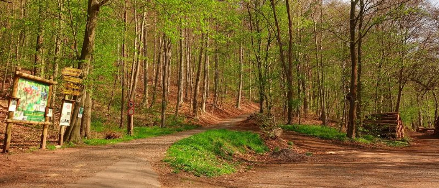 Wanderparkplatz_Leuchtbergsattel_P3__c_Peter_Kerst.jpg