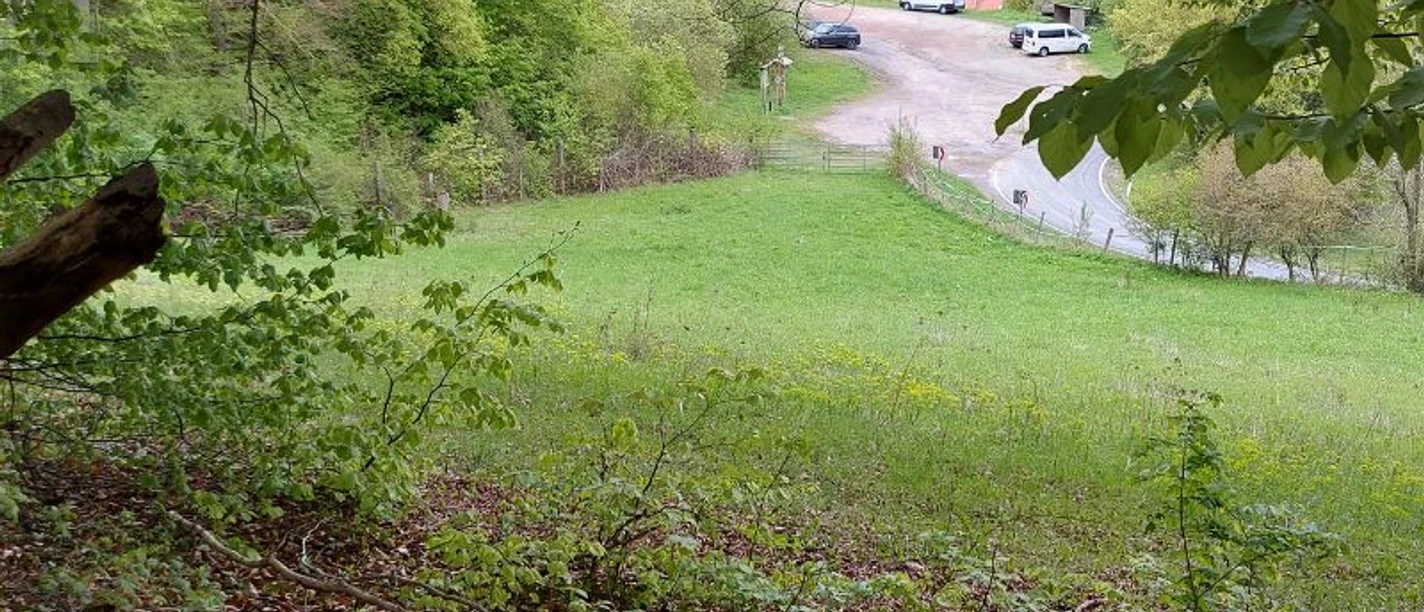 Blick_auf_den_Wanderparkplatz_Alter_Steinbruch_Asbach-Sickenberg__c_Claudia_Krabbes.jpg