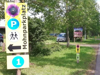 Mohnparkplatz_1__c_Marco_Lenarduzzi.jpg