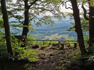 Aussicht_Wolfstisch__c_Christian_Bringmann.jpg