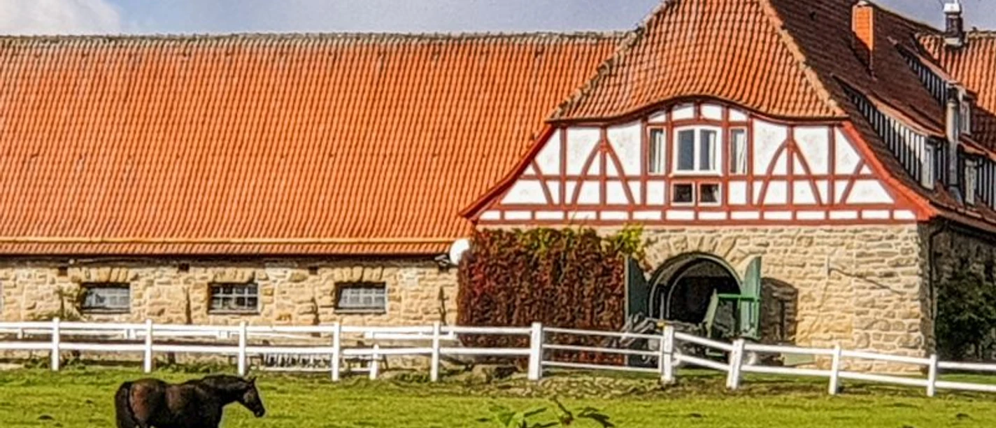 Gestuet_Altefeld__c_Hanna_Wallbraun.jpg