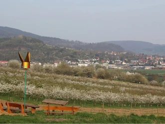 Kirschwanderweg_3_C_CK.jpg