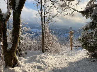 Altenau im Winter