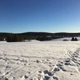 Winter in Clausthal-Zellerfeld