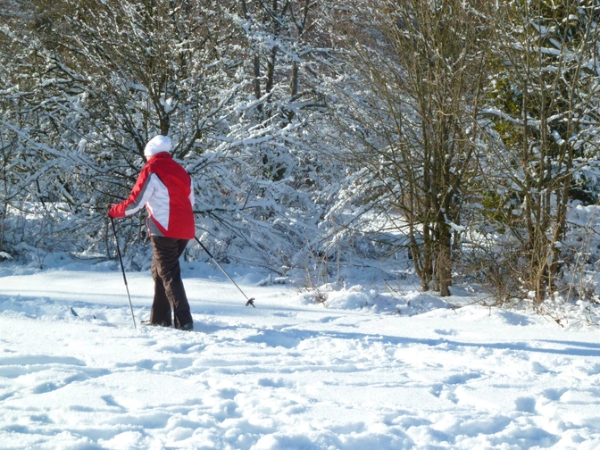 Wiehnbachloipe in Hahnenklee