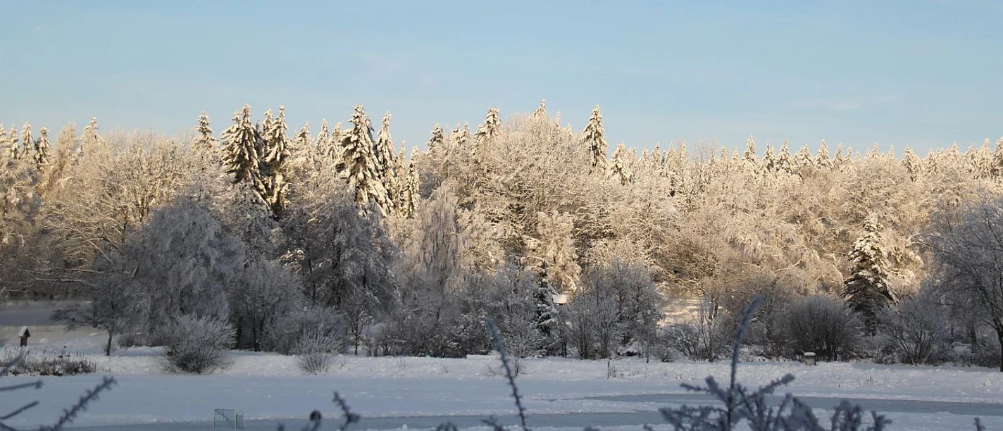 Hahnenklee Fuckelweg