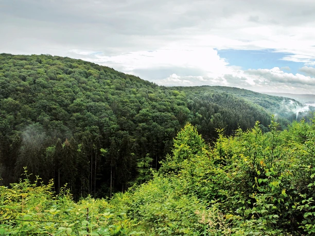 Natursteig Etappe 04