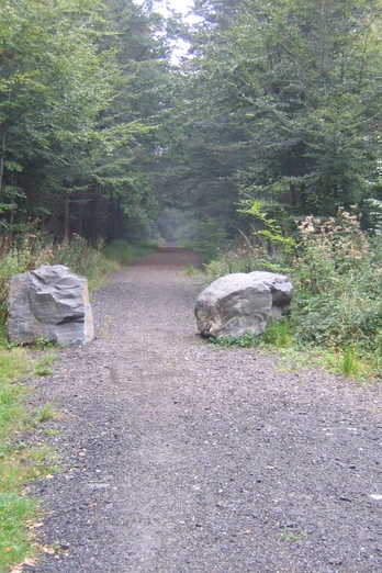 Waldweg durch die Nutscheid