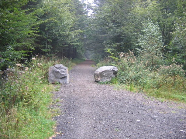 Waldweg durch die Nutscheid