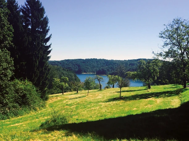 Blick auf die Wahnbachtalsperre