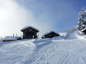 Screenshot_20251114_073235_Samsung Internet