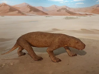 Sandsteinmuseum_c_Claudia_Krabbes.jpg
