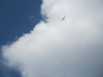 Segelflieger_am_Himmel__c_Claudia_Krabbes.jpg