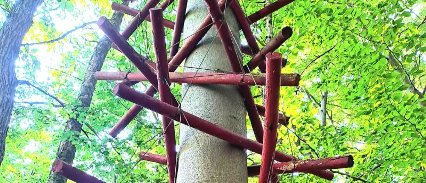 Red_Sticks_-_Dana_Widawski__c_ARS_NATURA-Stiftung_CC-BY-SA.jpg
