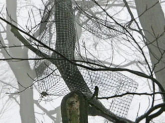 Vorm_Erwachen-Luzia_Lippert__c_ARS_NATURA_Stiftung_cc-by-sa.jpg