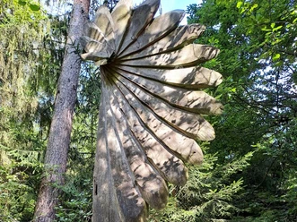 WUNDER-Baum__Eckhard_Krummel__c_ARS_NATURA-Stiftung_cc-by-sa.jpg