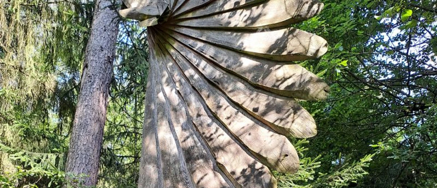 WUNDER-Baum__Eckhard_Krummel__c_ARS_NATURA-Stiftung_cc-by-sa.jpg