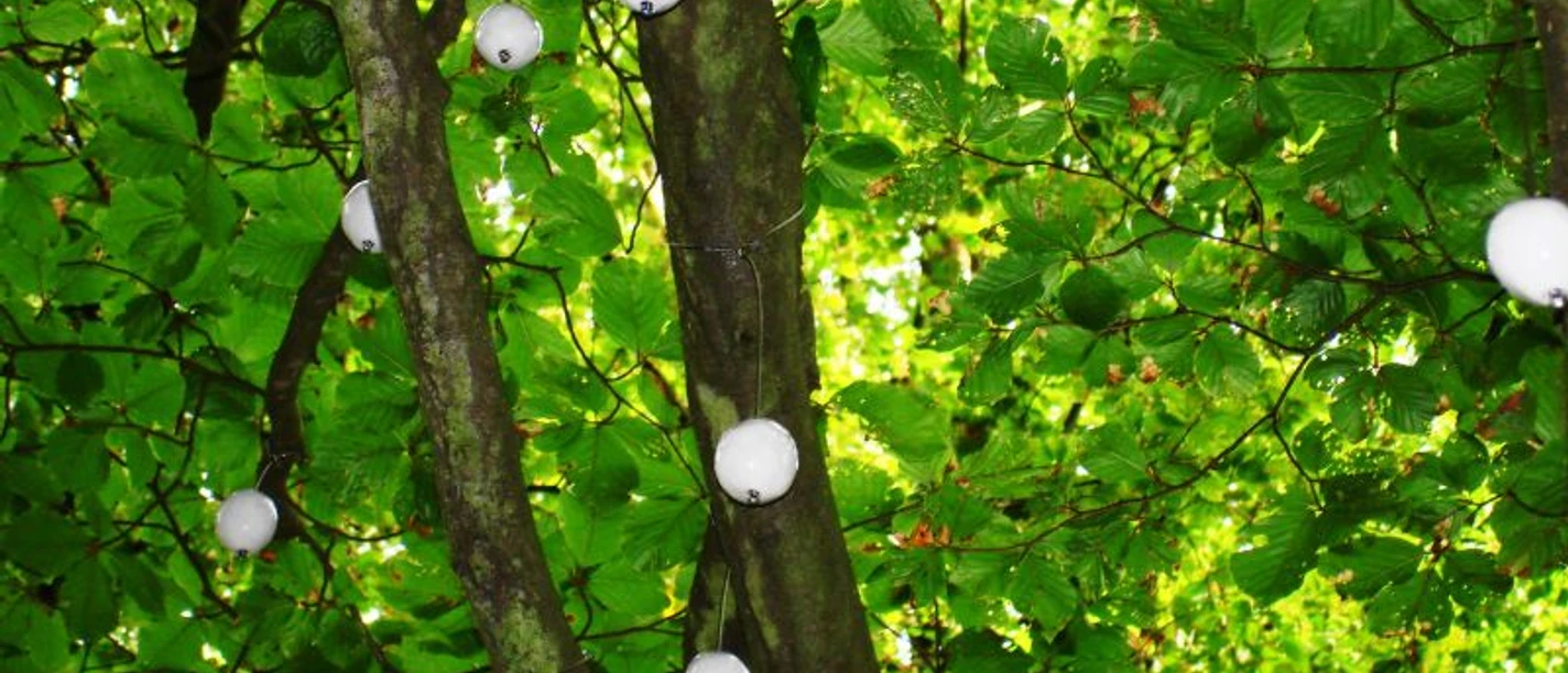 Federn_im_Wind_-_Carola_Landermann__c_ARS_NATURA-Stiftung_cc-by-sa.jpg