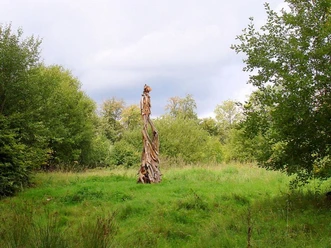 Waldlaeufer_-_Joerdis_Samland__c_ARS_NATURA-Stiftung.jpg