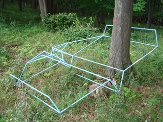 Einheitsflieger_-_Hans_Lamb__c__ARS_NATURA-Stiftung.jpg