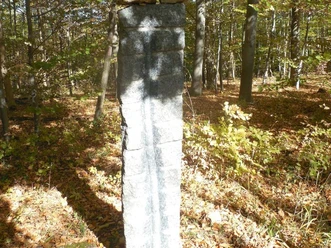 Lebensspur_-_Michaela_Biet__c_ARS_NATURA-Stiftung.jpg