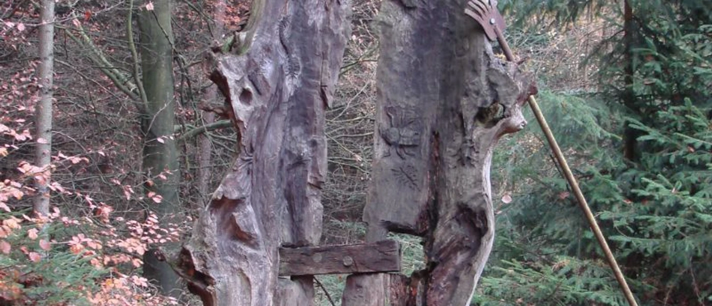 Baumbuch_-_Halvor_Machmor__c_ARS_NATURA-Stiftung.jpg