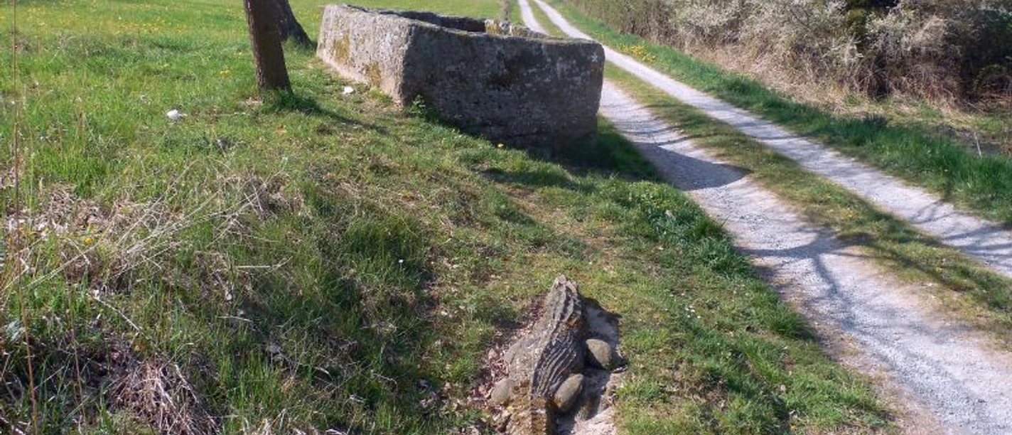 Krodil-Gradil-_Gradit-Granit_-_Ewald_Rumpf__c__ARS_NATURA-Stiftung.JPG.jpg