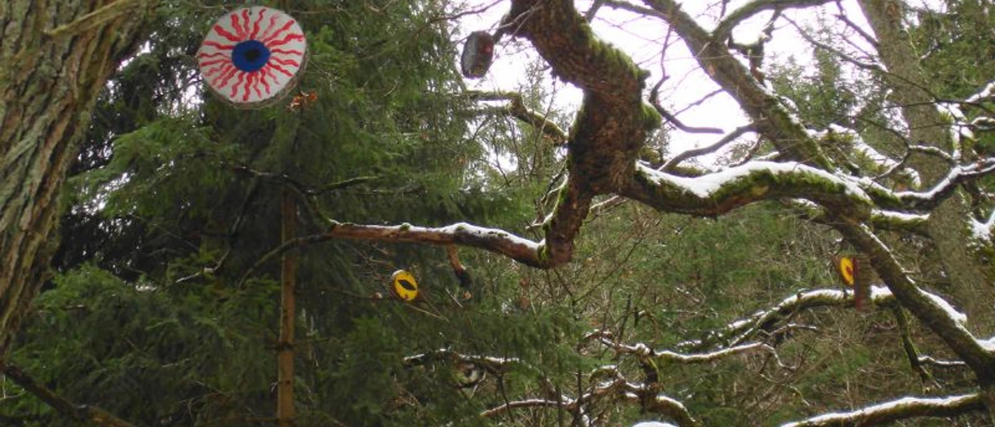 Augen-Blicke_-_Kunstkurst_Kl_H8a_b_Gesamtschule_Spangenberg_Ulrike_Larenz-Gruende_c_ARS_NATURA-Stiftung.jpg
