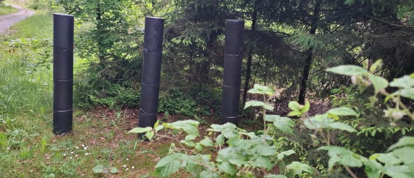 Wachende_-_Heide_Nonnenmacher__c_ARS_NATURA-Stiftung.jpg