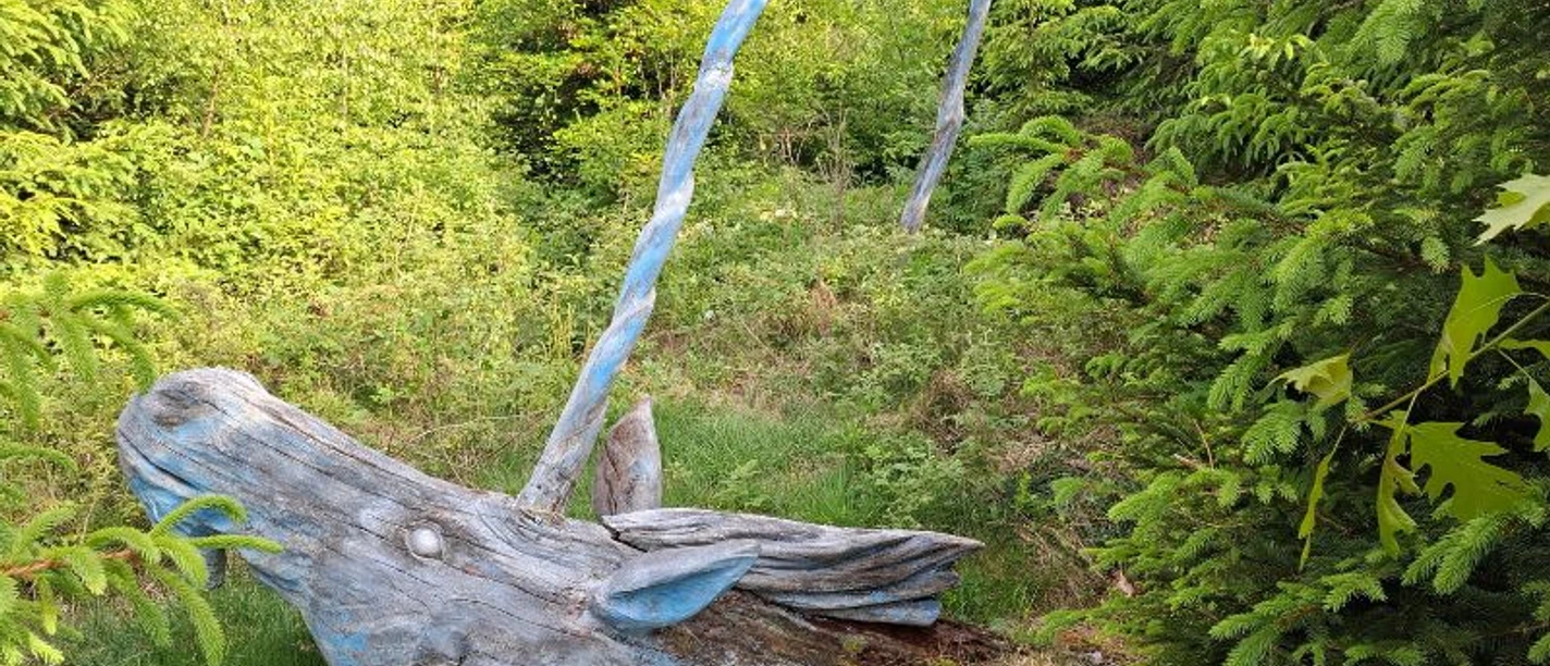 Befreiung_der_Phantasie_-_Maik_Miol__c_ARS_NATURA-Stiftung.jpg