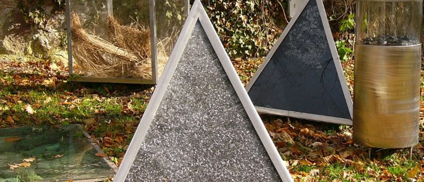 Spangenberg-Usprung-Entwicklung_-_K.Adam_-_S.S.Sander__c_ARS_NATURA-Stiftung.jpg