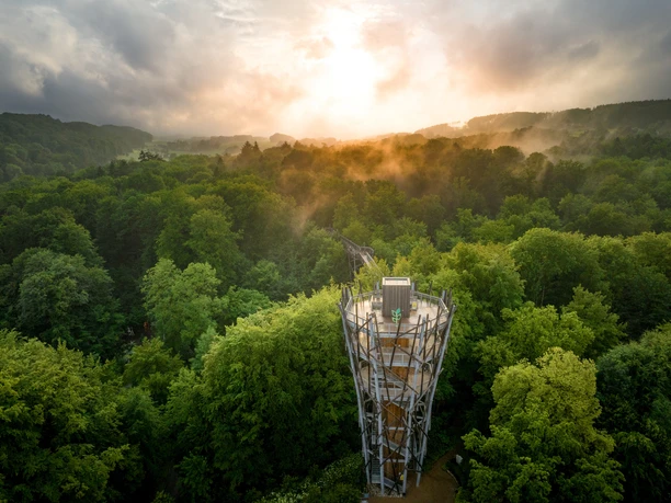Der Baumwipfelpad Bad Iburg aus der Vogelperspektive