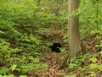 Kunstgraben westlich des Kunstteiches Wettelrode