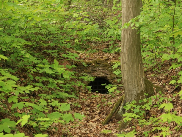 Kunstgraben westlich des Kunstteiches Wettelrode