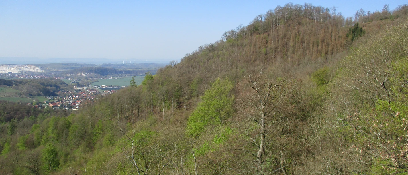 Am Südharzrand