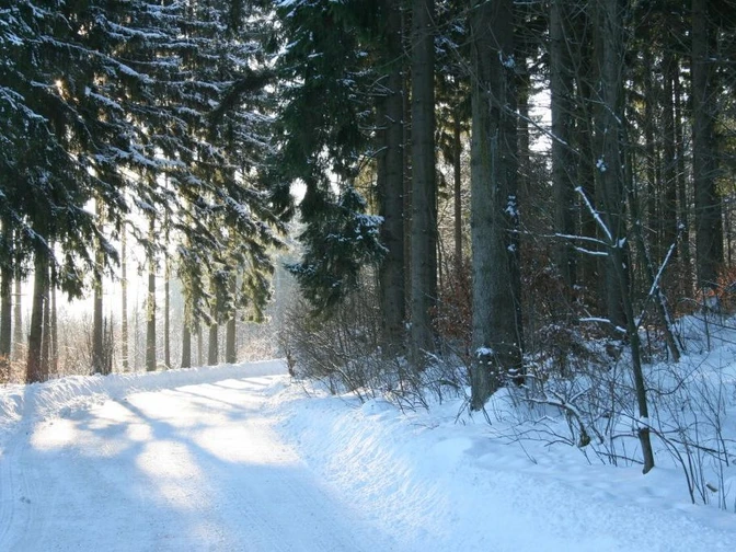 Winterwanderweg Braunlage