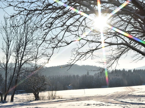Bohlwegloipe in Hohegeiß